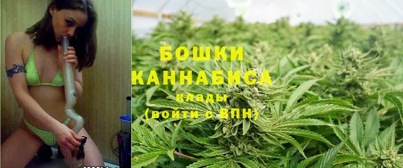 маркетплейс наркотические препараты  Жирновск  МАРИХУАНА OG Kush  наркота 